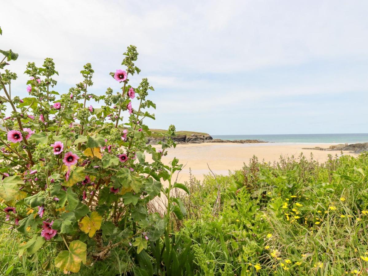 Constantine Bay Cottage Пэдстоу Экстерьер фото